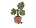 Amuseables Monstera Plant
